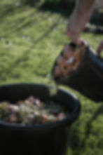 Compost