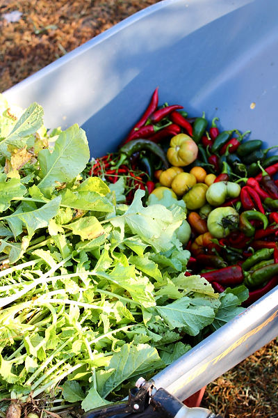 Wheelbarreloffreshvegetables