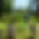 Thumbnail: Seasonal Scavenger Hunt