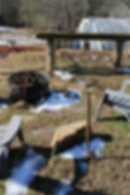 ArrowsFarmClarkesvilleGA