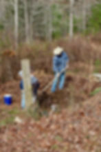 CompostingArrowsFarm