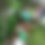 Thumbnail: My Garden Journal: A Nature-Based Learning Guide for Ages 3–7