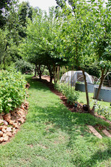 ArrowsFarmClarkesvilleGA