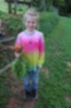 ArrowsFarmClarkesvilleGA