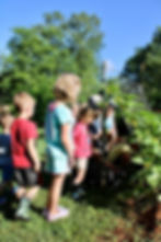 Arrows Farm Camp