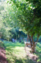 ArrowsFarmGarden