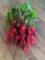 ArrowsFarmClarkesvilleGA