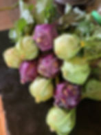 kohlrabiarrowsfarmclarkesvillega