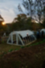 ArrowsFarmClarkesvilleGA