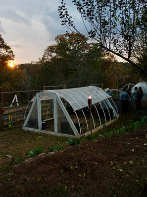 ArrowsFarmClarkevilleGA