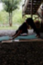 Yoga at the Farm with Spencer Turk 