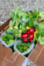 ArrowsFarmClarkesvilleGAveggiebox