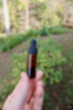 ArrowsFarmClarkesvilleGA