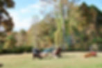 ArrowsFarmClarkesvilleGA