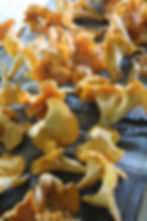 Chanterellemushroomsarrowsfarm