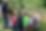 ArrowsFarmClarkesville