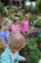 ArrowsFarmClarkesvilleGA