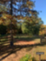 ArrowsFarmClarkesvilleGA