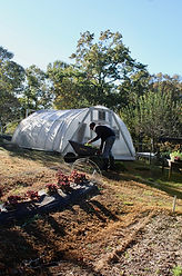 ArrowsFarmClarkevilleGA