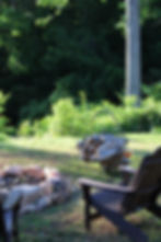 Sunset, Sip, & Paint Night at Arrows Farm