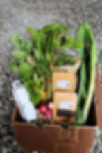 Veggie Boxes