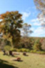 ArrowsFarmClarkesvilleGA