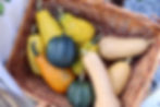 squasharrowsfarm
