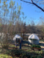 ArrowsFarmClarkesvilleGA