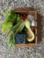 Veggie Box 10 Week - PRORATED 3 weeks