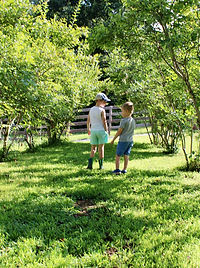 Kidswithblueberrybushes