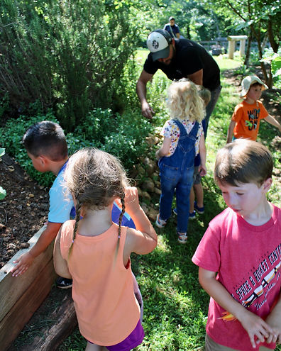 Kidsinthegarden