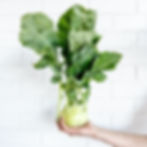 kohlrabi