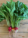 ArrowsFarmClarkesvilleGA